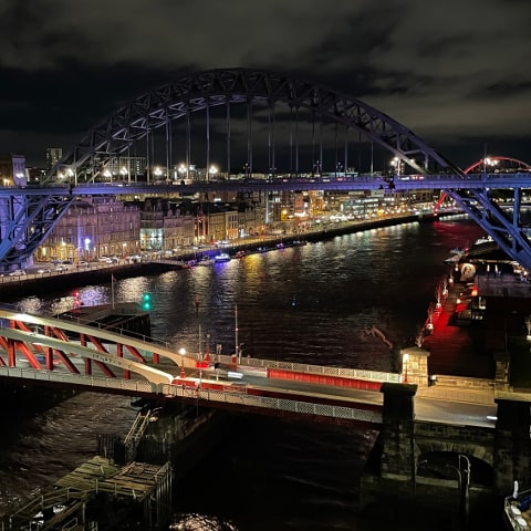 Tyne bridges from the High Level