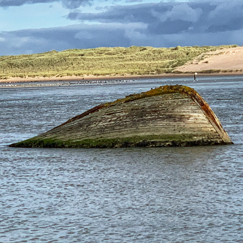 Shipwreck in Newburgh estuary